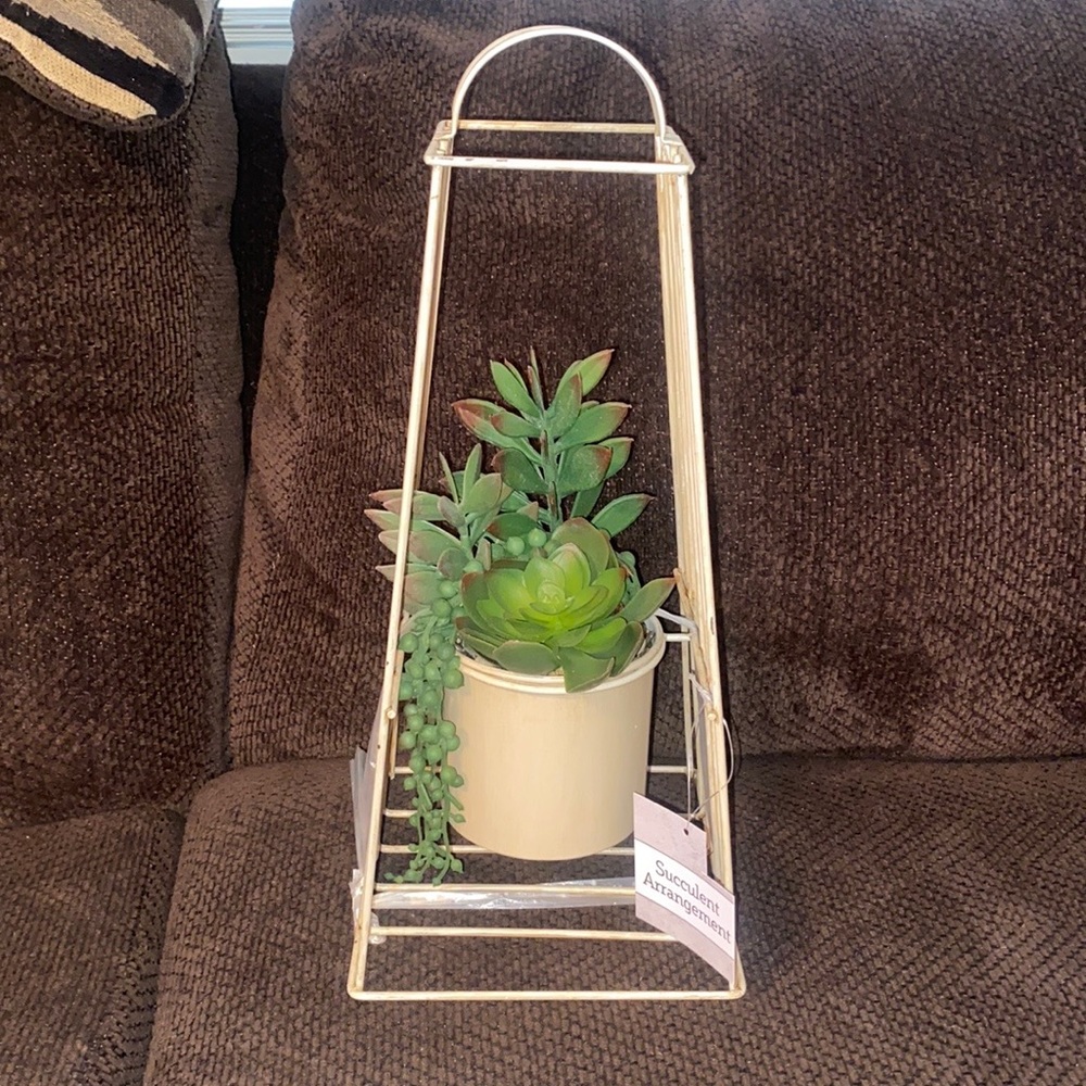 NEW succulent plant with plant holder FAKE